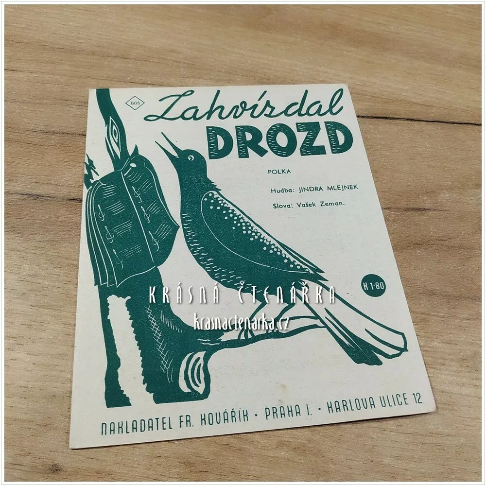 Píseň ZAHVÍZDAL DROZD