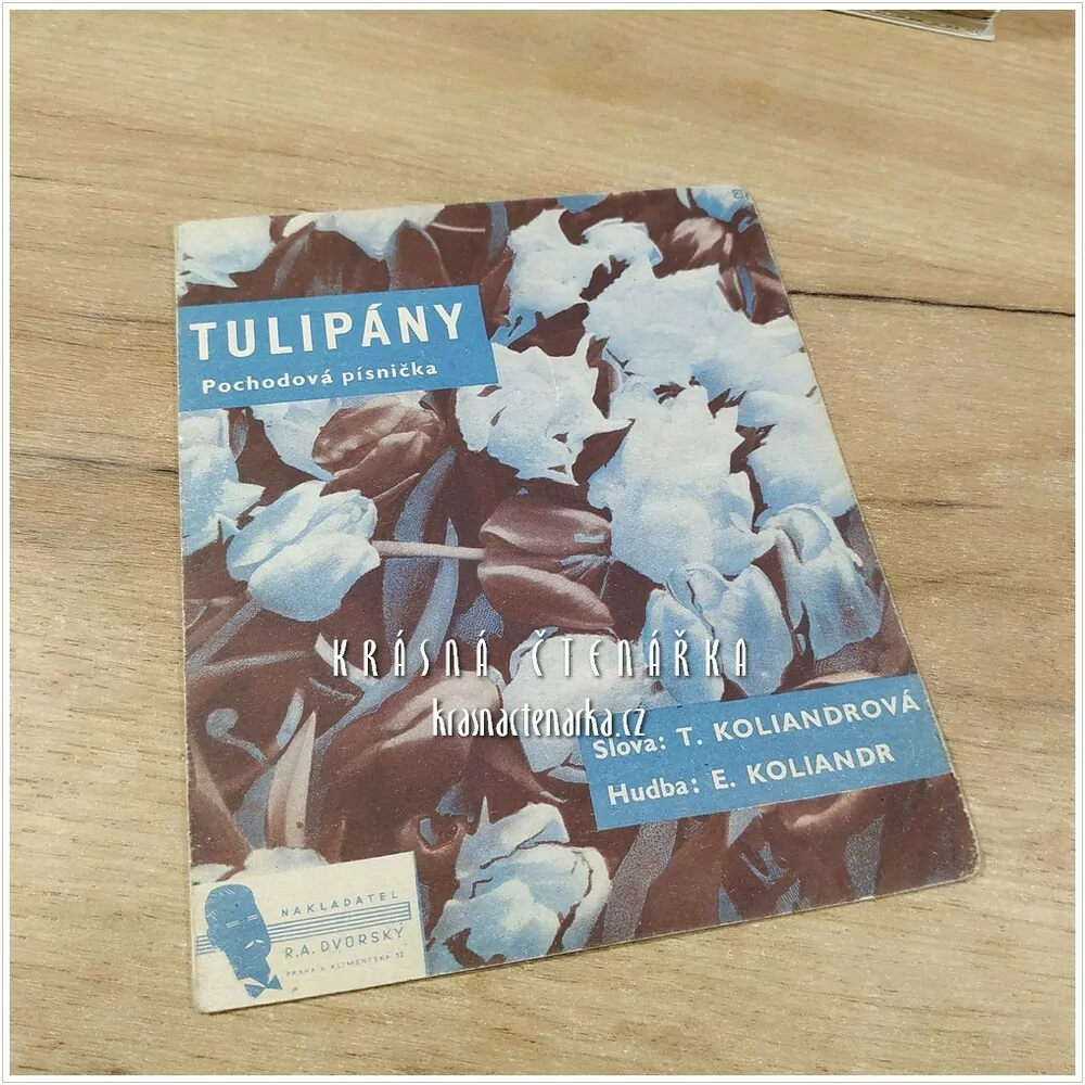 Píseň TULIPÁNY