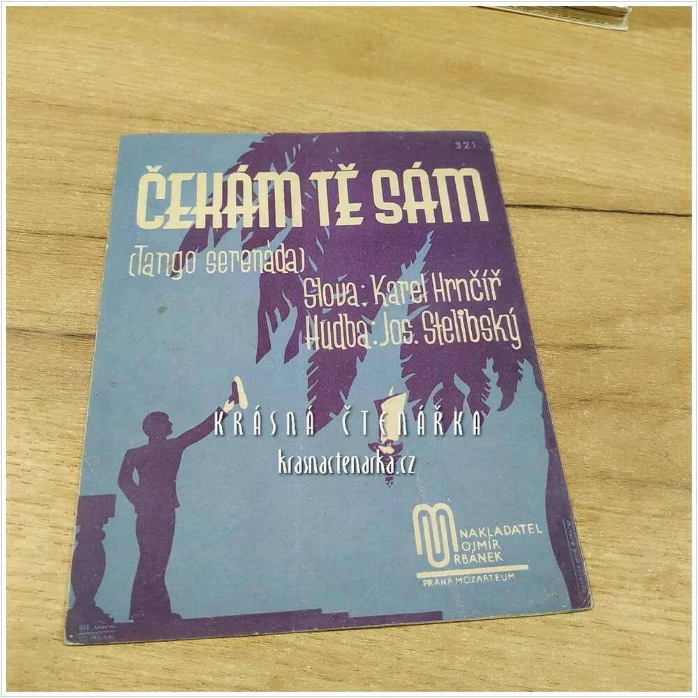 Píseň ČEKÁM TĚ SÁM