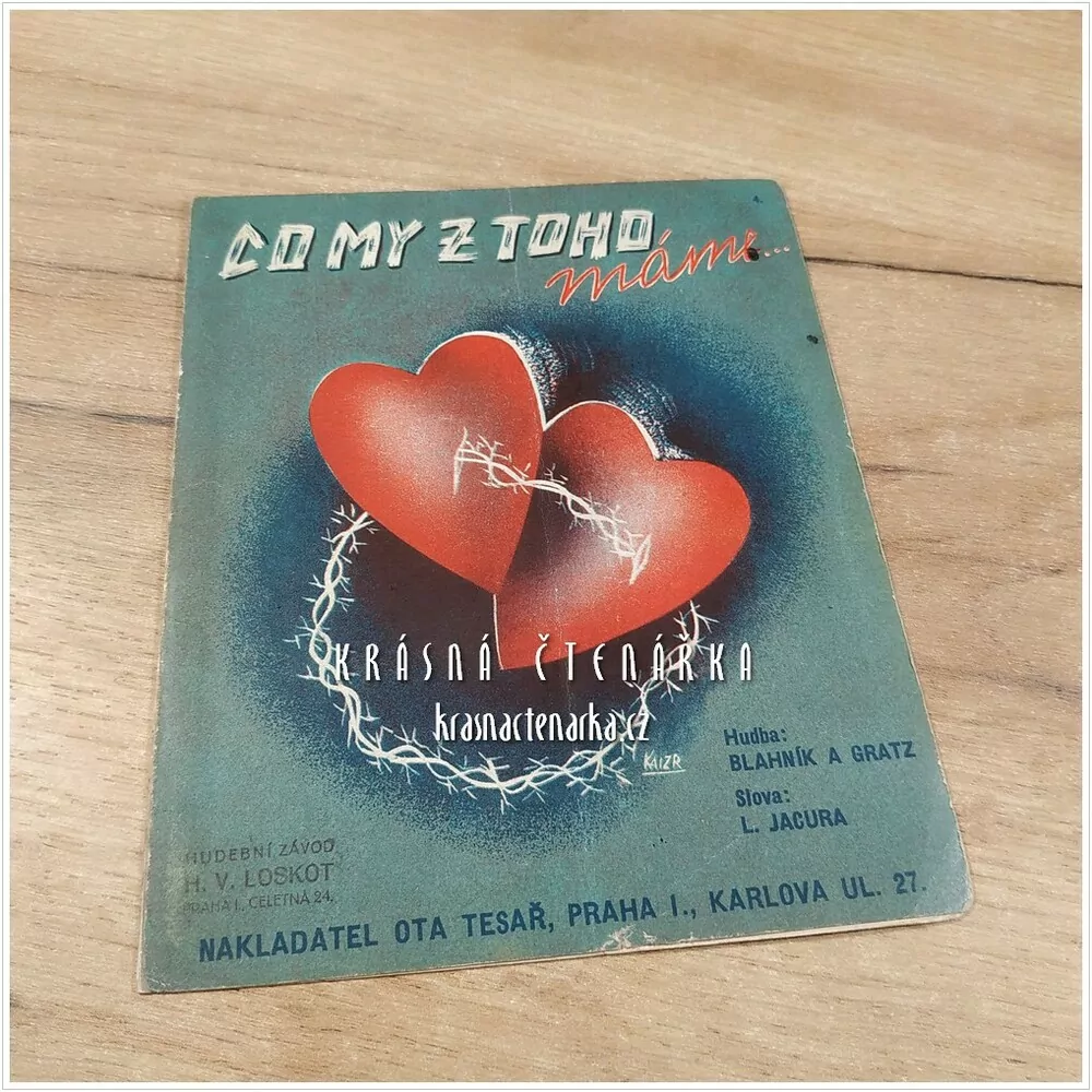 Píseň CO MY Z TOHO MÁME ...