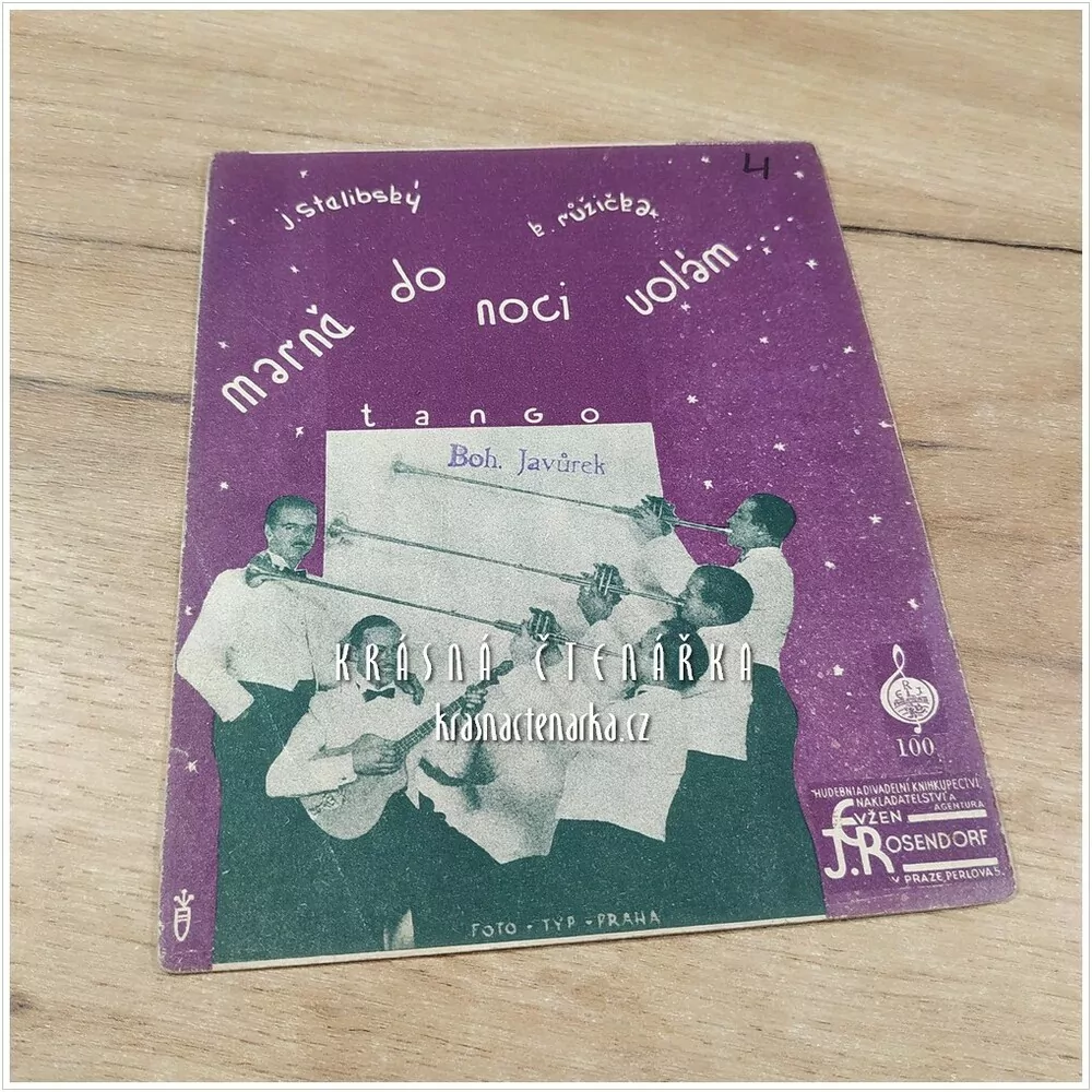 Píseň MARNĚ DO NOCI VOLÁM