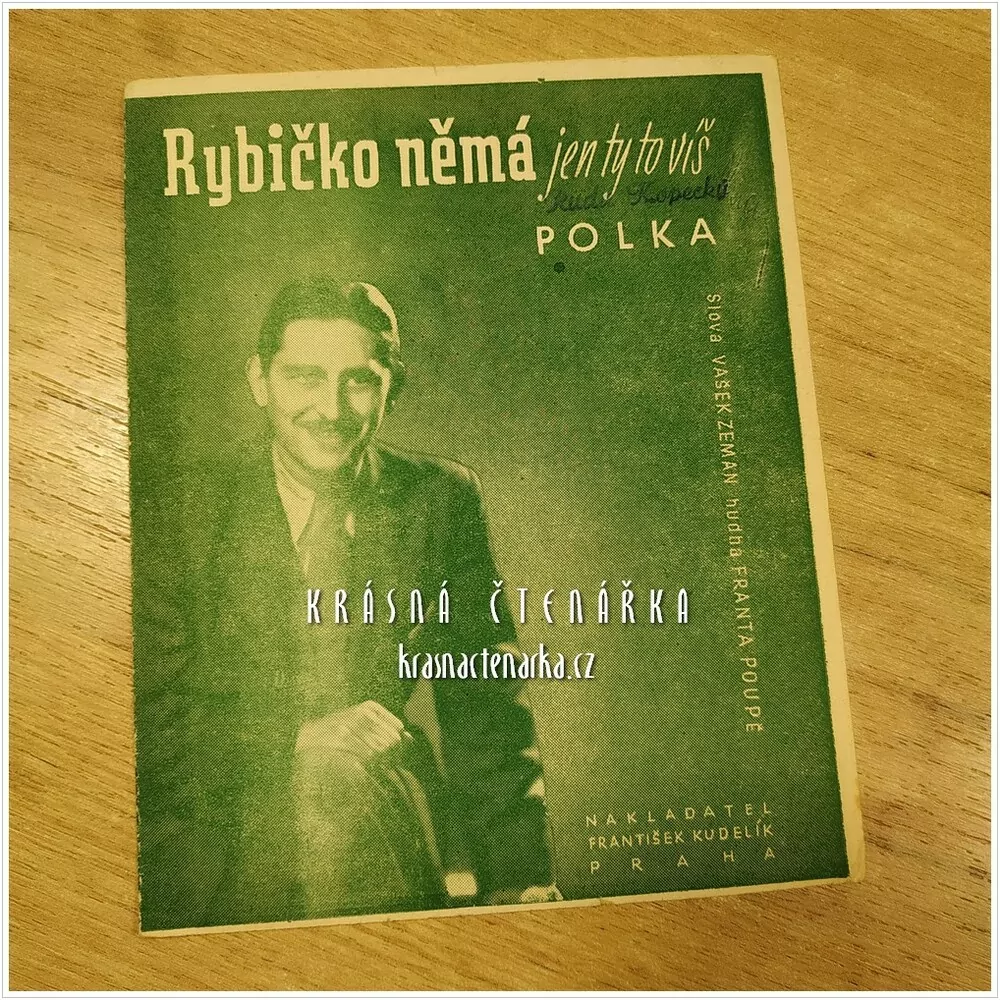 Píseň RYBIČKO NĚMÁ, JEN TY TO VÍŠ