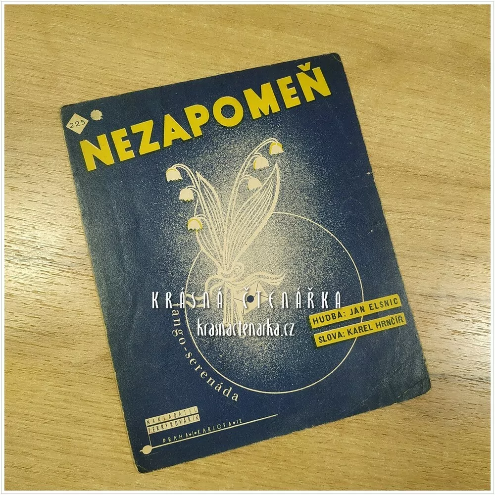 Píseň NEZAPOMEŇ