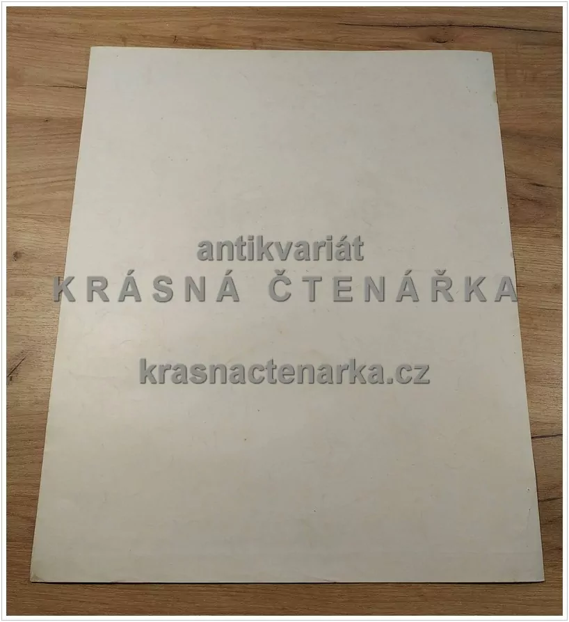 Macmillan's History Pictures: CULTIVATING PINE-APPLES IN AUSTRALIA