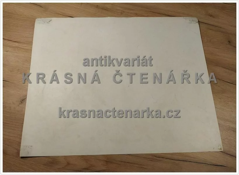 Macmillan's History Pictures: A BANANA PLANTATION IN JAMAICA