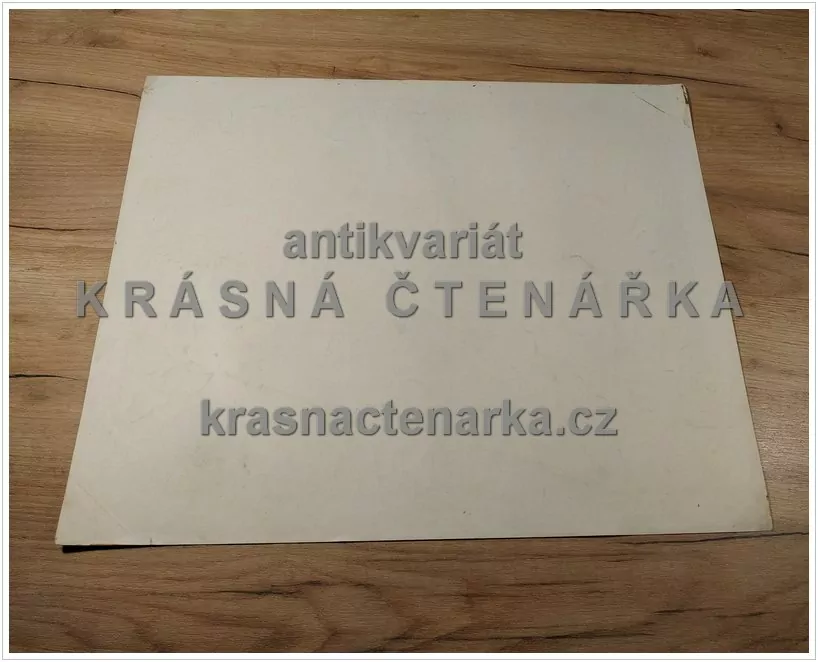 Macmillan's History Pictures: HARVESTING COFFEE-BERRIES IN COSTA RICA