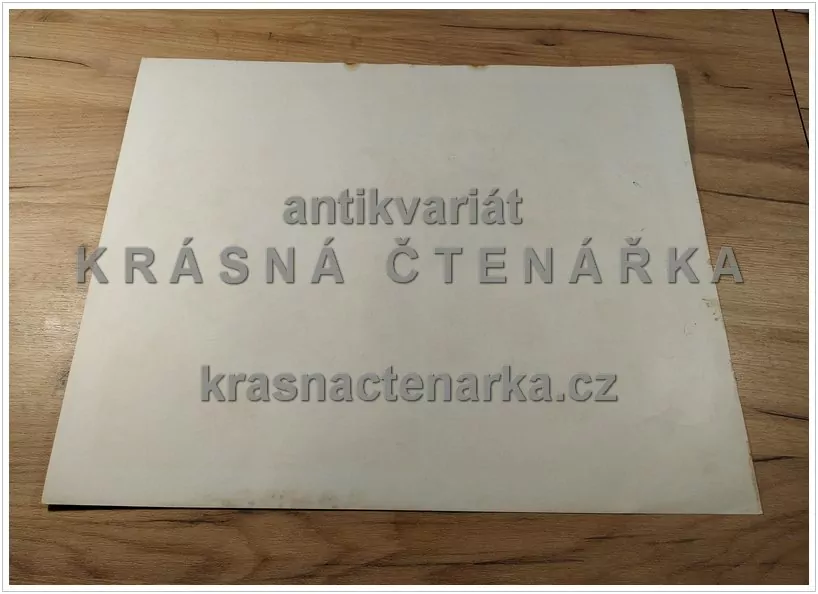 Macmillan's History Pictures: NUNS WAITING ON PATIENTS IN HOSPITAL, 14th C.