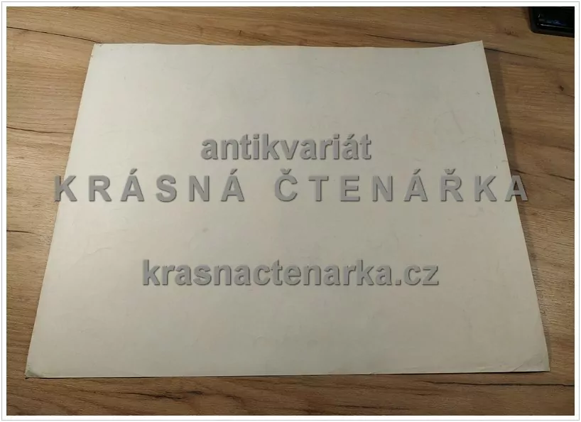 Macmillan's History Pictures: YARDING SHEEP IN AUSTRALIA