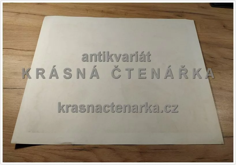 Macmillan's History Pictures: BEEF CATTLE ON CANADIAN RANCH