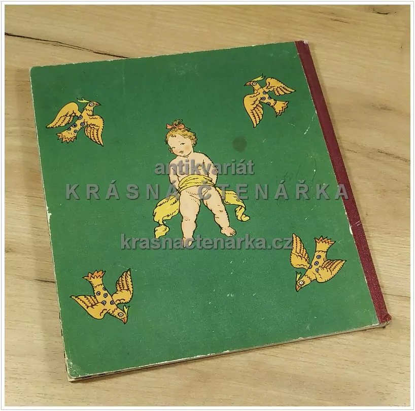 PAMÁTNÍK NAŠEHO DĚŤÁTKA (Fischerová-Kvěchová Marie)