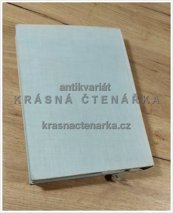 KAREL VIK, Popisný seznam grafického díla (Borovský / Borovská) (podpis Karel Vik)