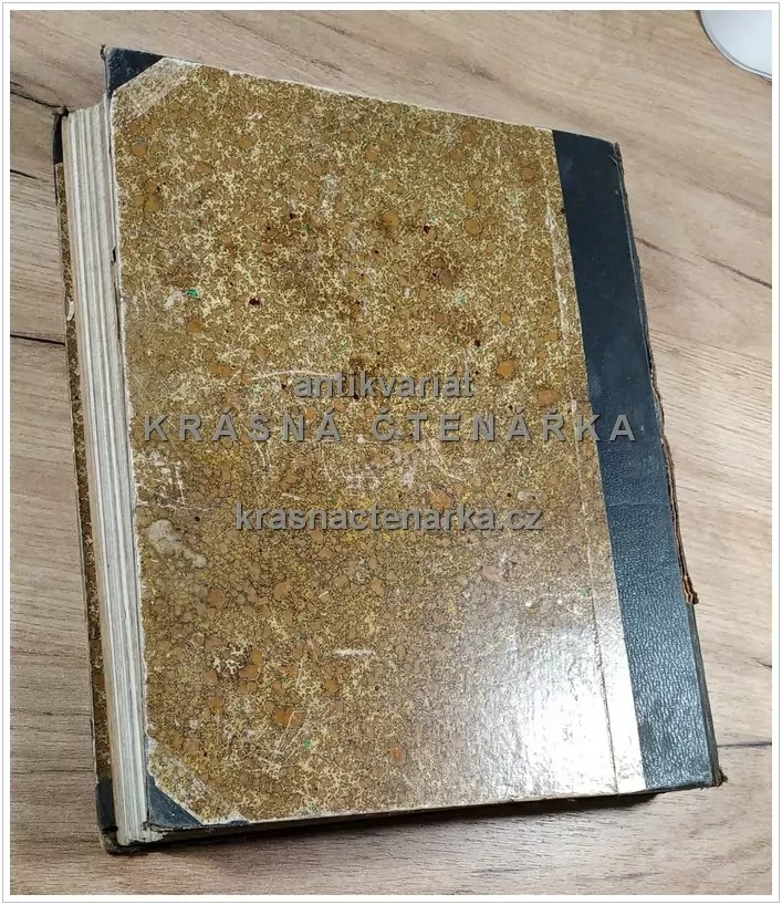 VOLNÉ SMĚRY 1907, Měsíčník umělecké kultury