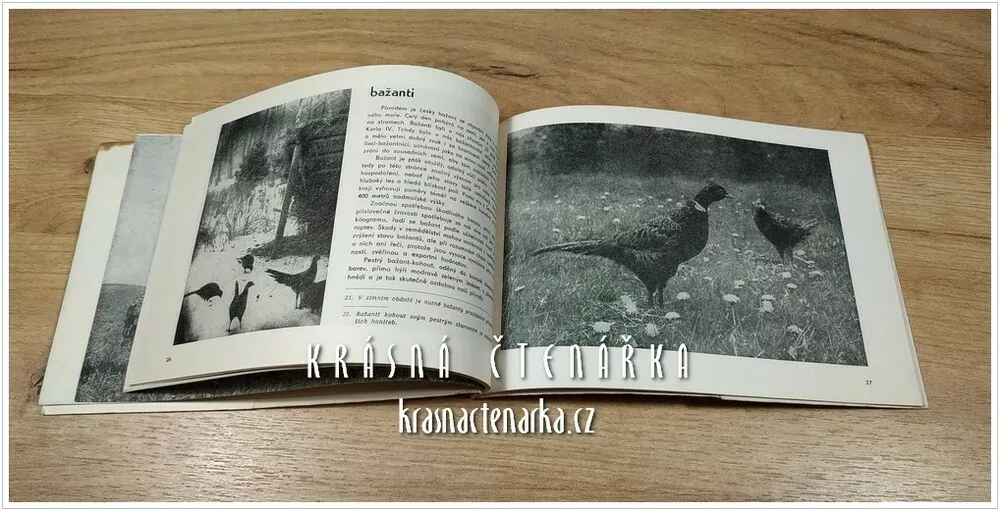 MYSLIVOST V SEVEROČESKÉM KRAJI