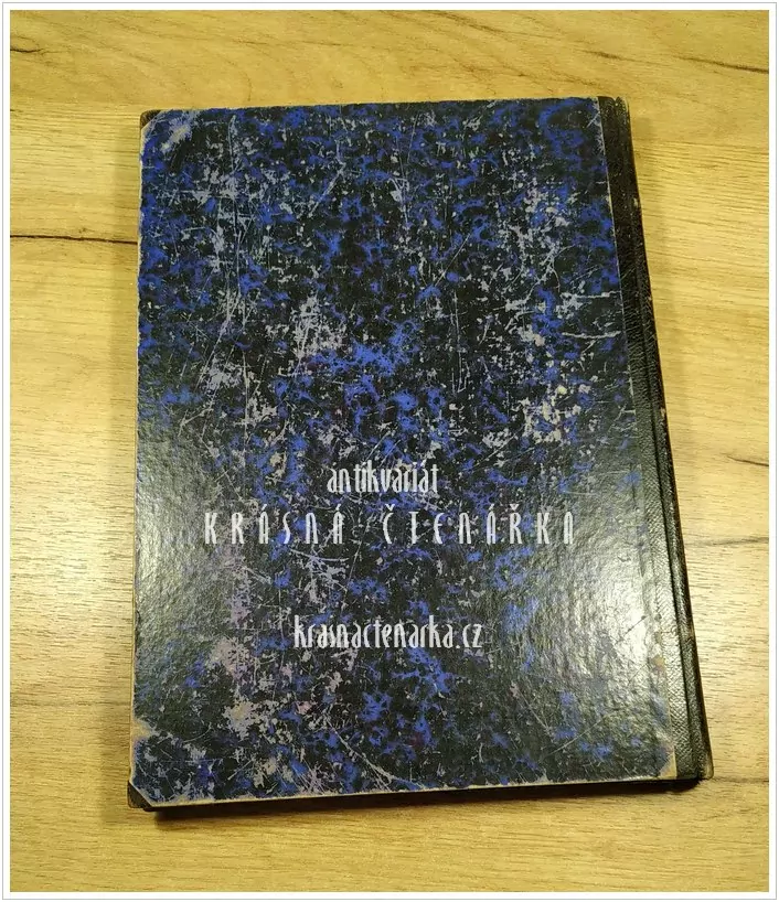 SONNTAGS-BLATT, Organ für die Freidenker Deutschlands 1877, 6. ročník