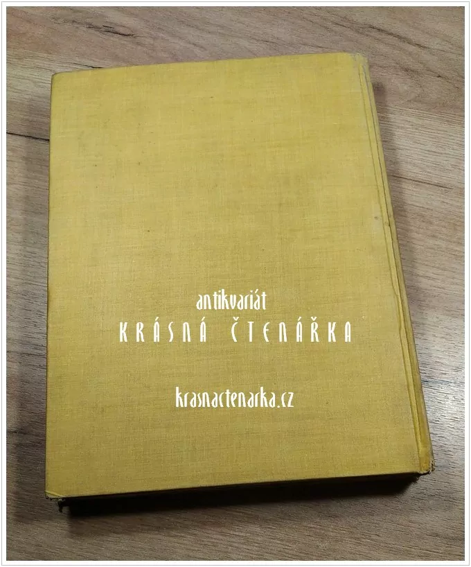 OLD DUTCH TOWNS AND VILLAGES OF THE ZUIDERZEE (Tuyn W. J., il. Nieuwenkamp / Veldheer)