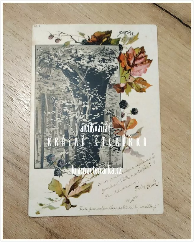 KRAJINA s břízami (il. Mailick)