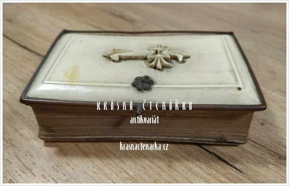 AVE MARIA ! (Modlitební kniha)