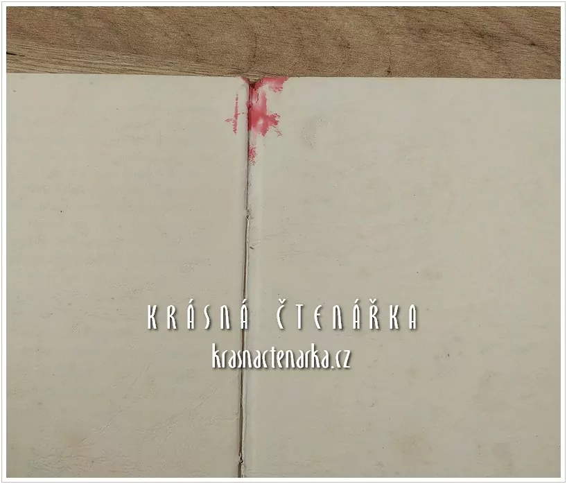 DORNRÖSCHEN, Ein Märchen-Bilderbuch mit Bildern von Brünhild Schlötter