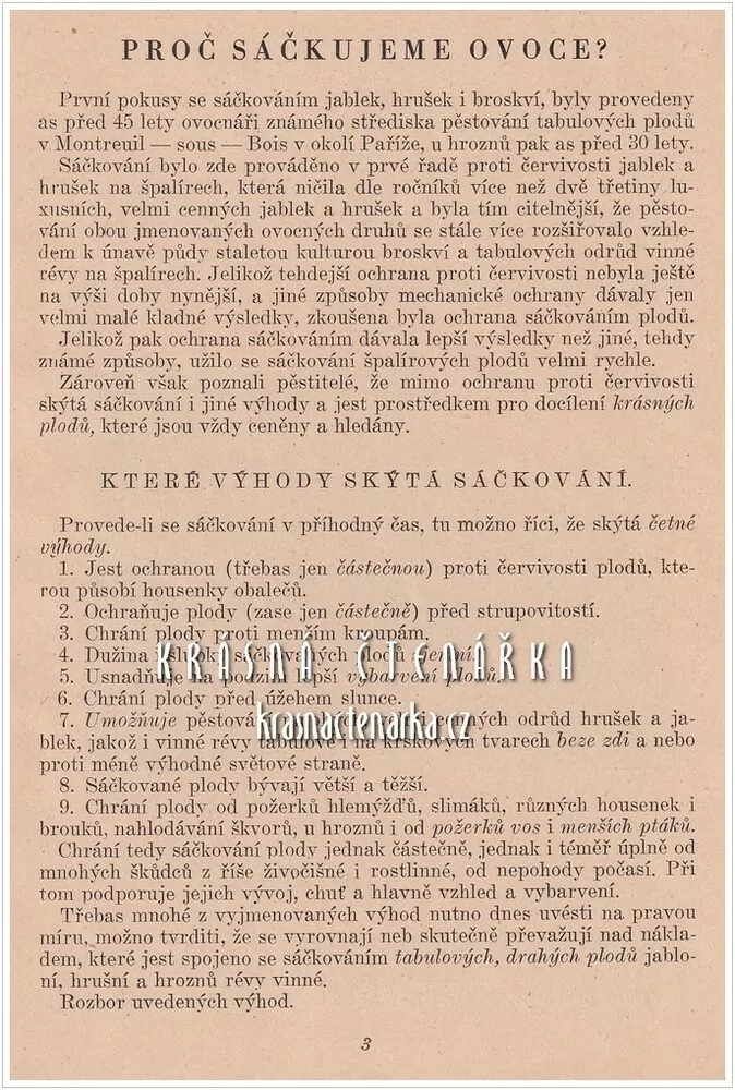 SÁČKOVÁNÍ OVOCE (Černík J. V.)