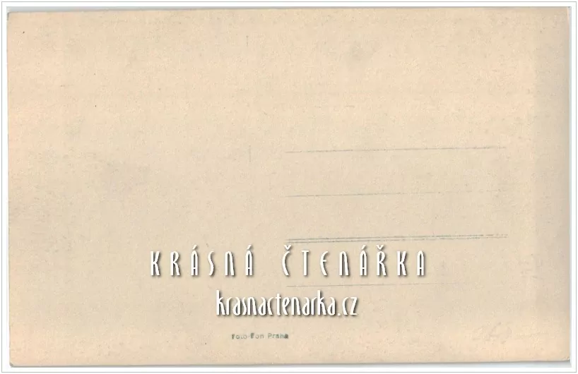 PRAHA Vyšehrad, Zbytky hradeb