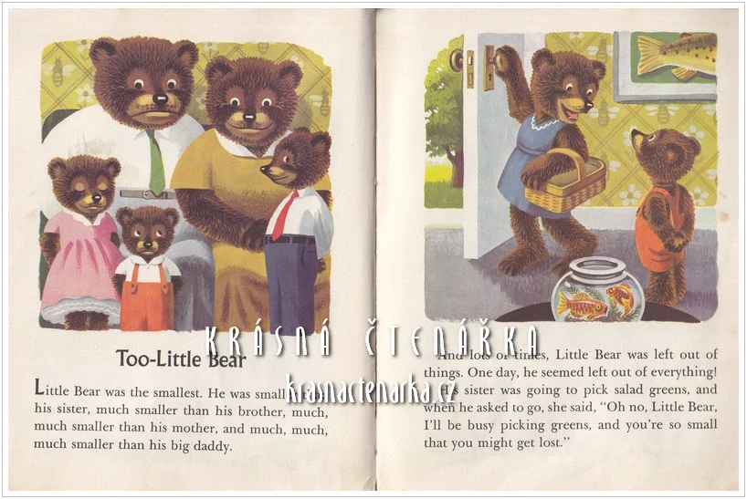 THE BROWN BEAR BOOK (Jackson Kathryn, il. Johnston Scott)