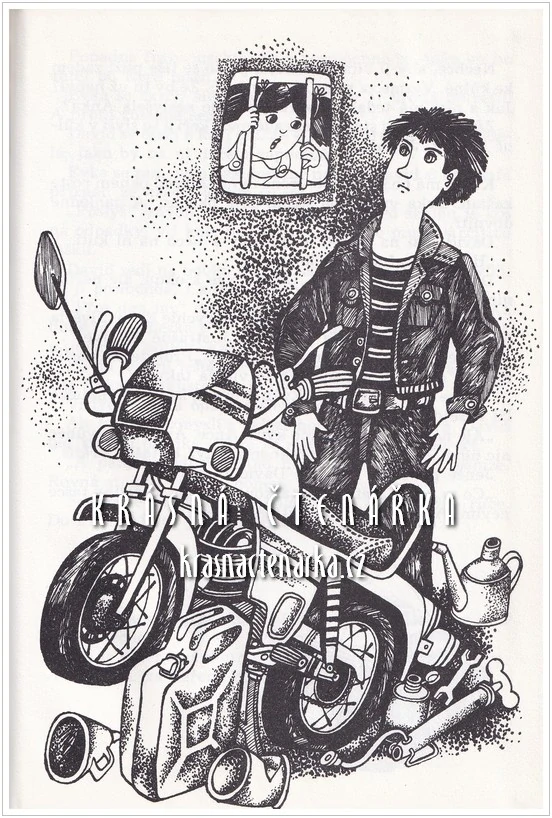 NA VYSTRKOVĚ (Schmidtová Annie M. G., il. Lysková Jolanta)