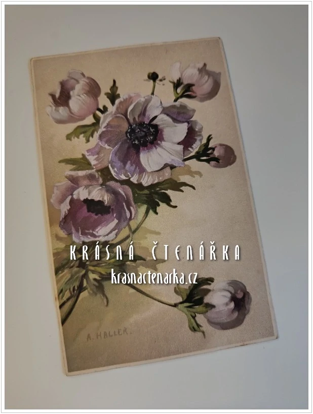 BLAHOPŘÁNÍ květinové (il. Anna Haller)