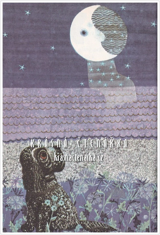 V MÁMINĚ NÁRUČÍ (Nechvátal František, il. Kudláček Jan)