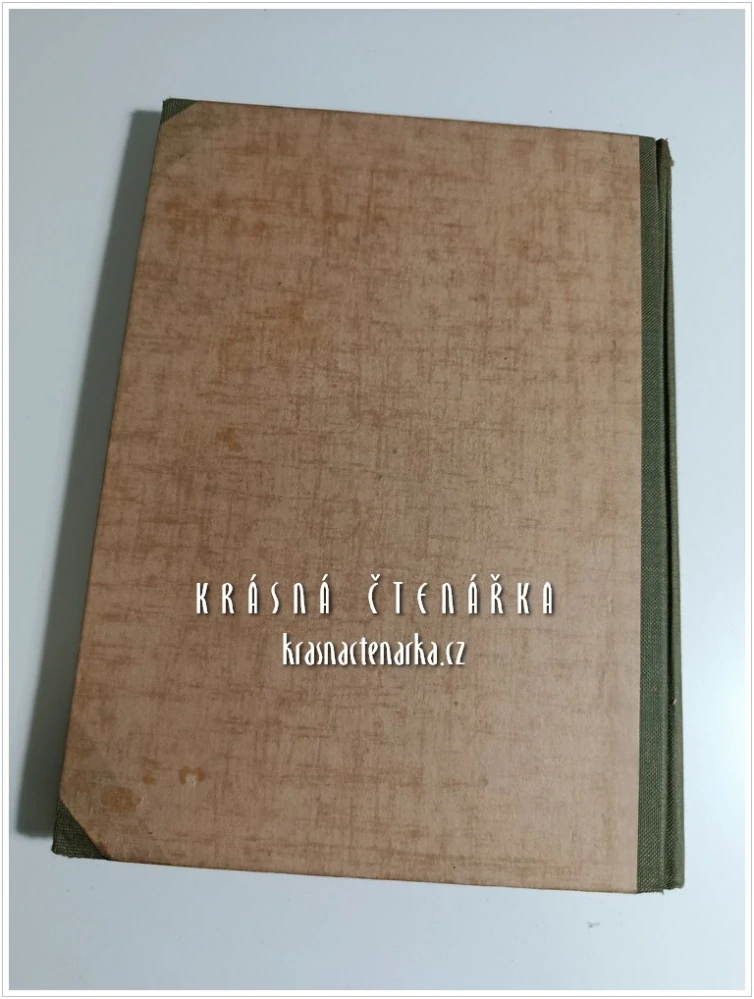 DER PRAKTISCHE BEIZER UND POLIERER, Ein Lehr- und Nachschlagebuch für die Holzbearbeitung (Elberskirch Philipp) (Odborná příručka pro moření a leštění dřeva)
