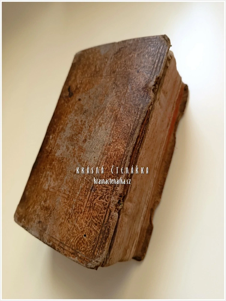 NOVISSIMUS PAEDAGOGUS DOMESTICUS+ GRADUS COMPARATIONIS ORDINE ALPHABETI (Joseph Eder) | Barokní jezuitská učebnice latinské gramatiky a stylistiky vydaná 1732