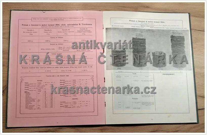 HNOJENÍ CHILSKÝM LEDKEM (reklamní brožura)