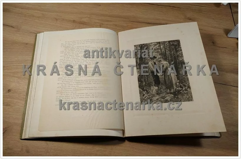 DER VOGT AUF MÜHLSTEIN (Eine Erzählung aus dem Schwarzwald) (Hansjakob Heinrich, il. Hafemann Wilhem)