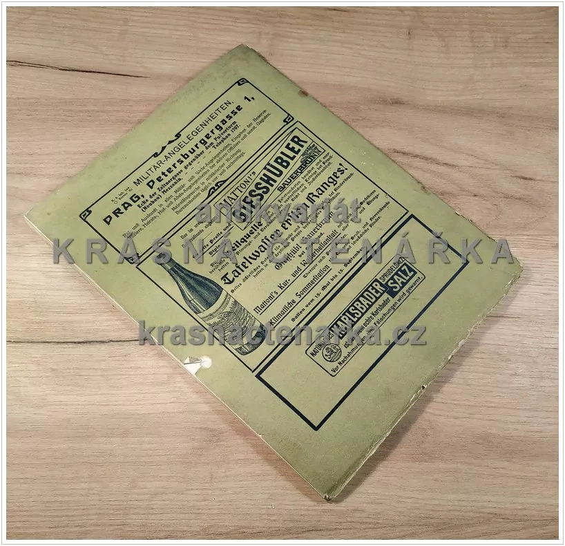 DEUTSCHE ARBEIT, Monatschrift für das geistige Leben der Deutschen in Böhmen 1909