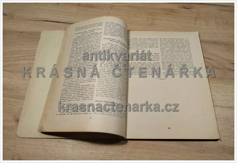 LIDOVÁ (KLERIKÁLNÍ) STRANA VE SVĚTLE PRAVDY (Janout Josef) 