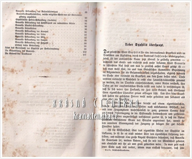 DER RADIKAL ARZT (Gerke Clemens), vydáno 1866