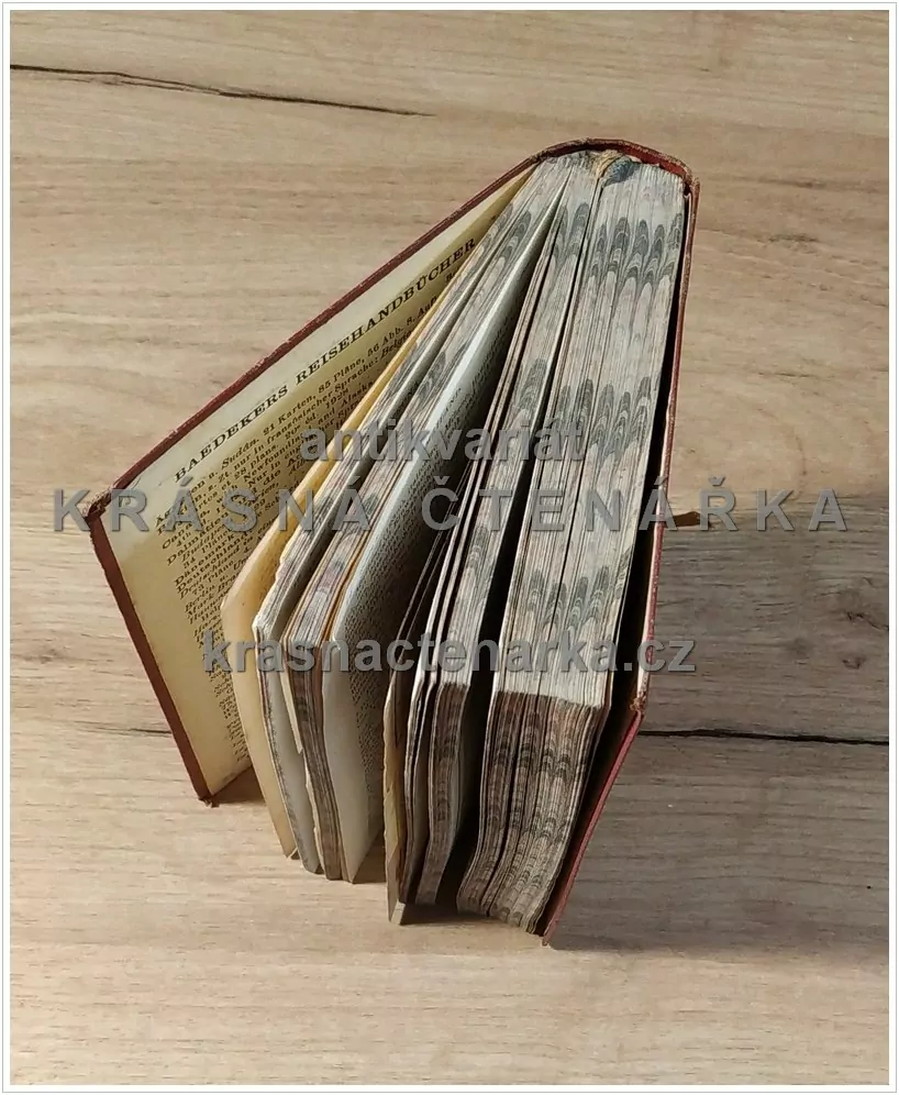 Baedekers Reisehandbücher: RIVERA (Baedeker Karl)