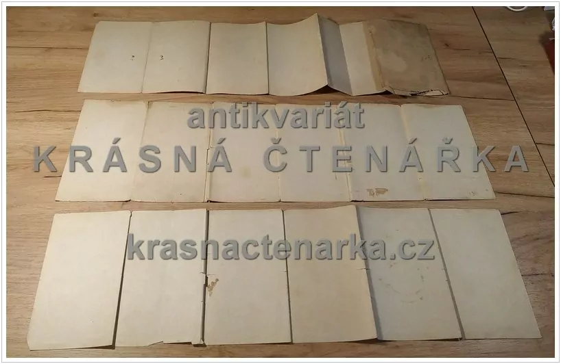 VILÍMKOVA PODROBNÁ MAPA OKOLÍ PRAŽSKÉHO