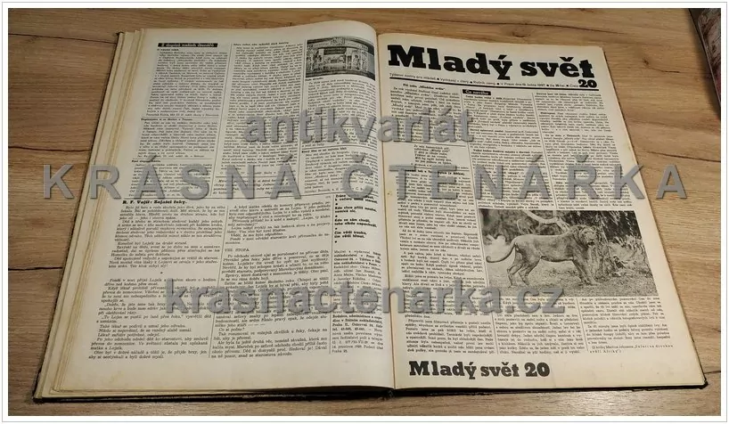 Týdenní noviny pro mládež MLADÝ SVĚT 1936 - 1937, ročník 8. (38 čísel)