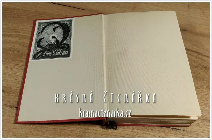 BUDJONNYS REITER ARMEE (Babel Isaak) (1. vydání)