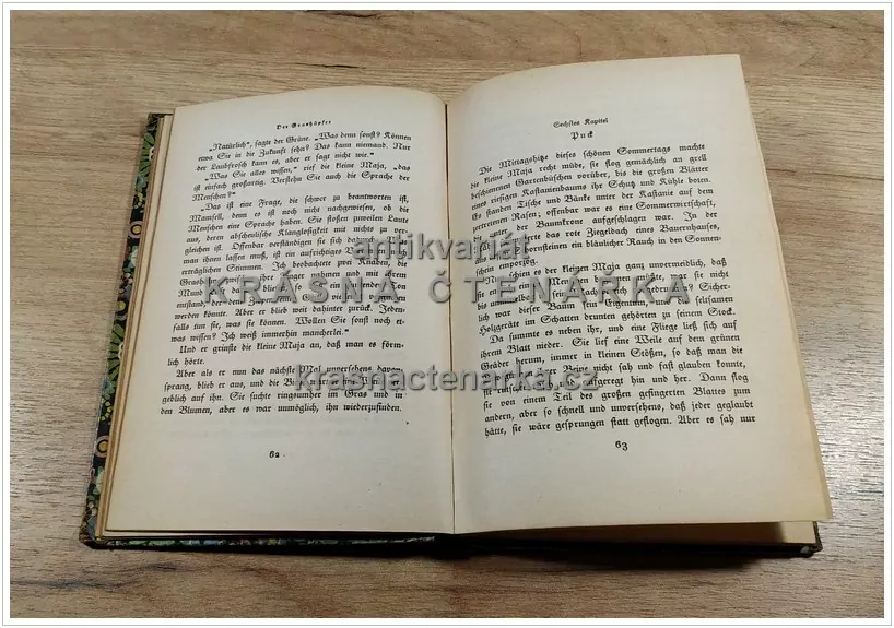 DIE BIENE MAJA UND IHRE ABENTEUER (Bonsels Waldemar)