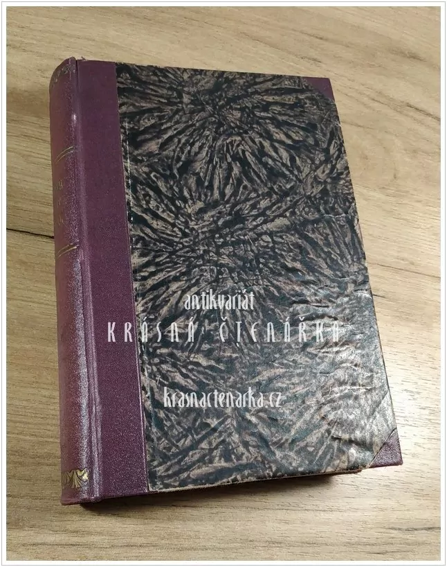 REICHENBERG IN DER ZEIT DER SELBSTVERWALTUNG vom Jahre 1850 bis 1900 (Liberec)