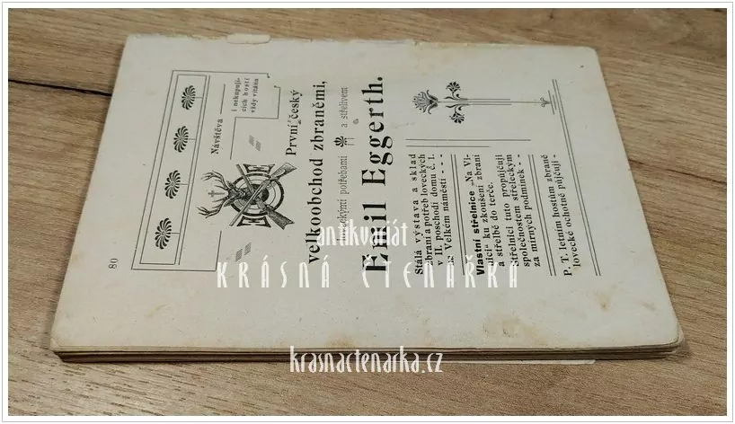 PRŮVODCE PO KRÁL. MĚSTĚ PÍSKU A JEHO OKOLÍ (Brandejs Bedřich)
