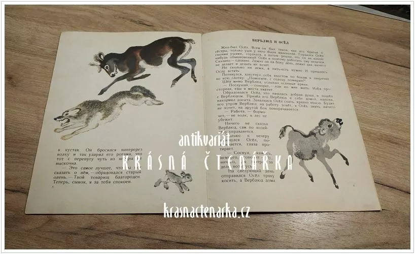 ДВА ЦЫПЛËНКА