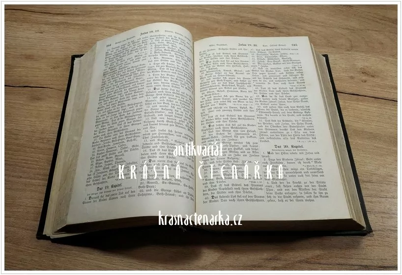 DIE BIBEL OBER DIE GANZE HEILIGE SCHRIFT DES ALTEN UN NEUEN TESTAMENTS  (překlad Luther Martin, 1893)