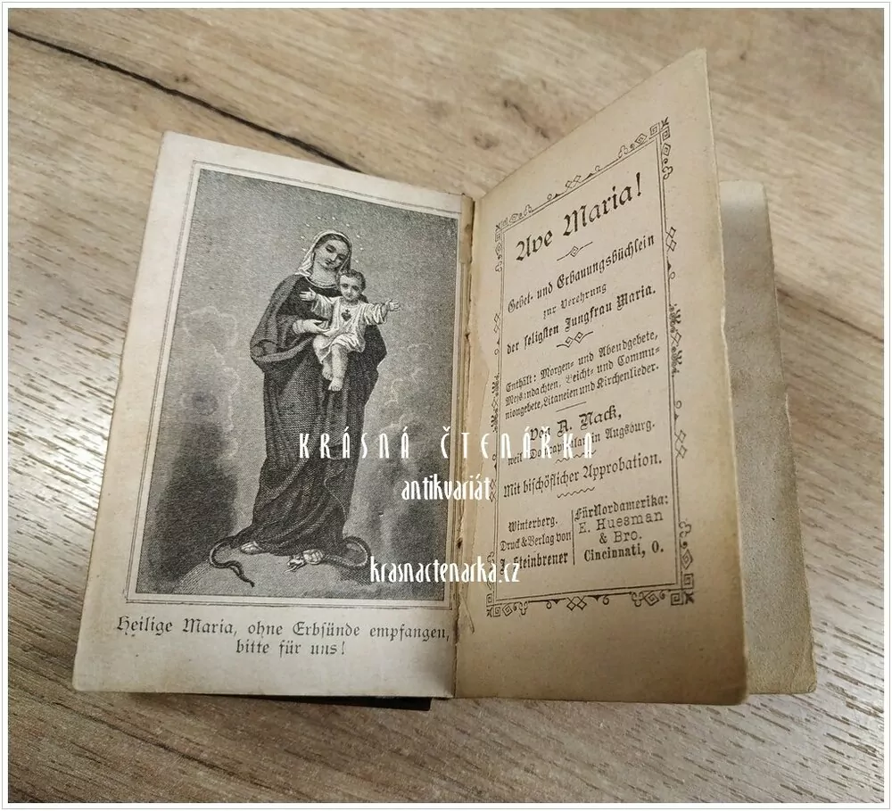 AVE MARIA ! (Modlitební kniha)