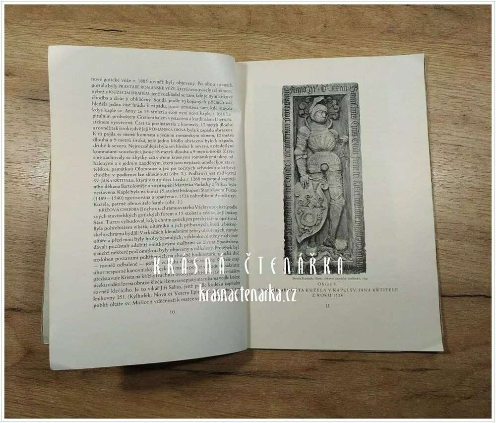 OLOMOUCKÝ METROPOLITNÍ CHRÁM SV. VÁCLAVA (Kachník Josef)