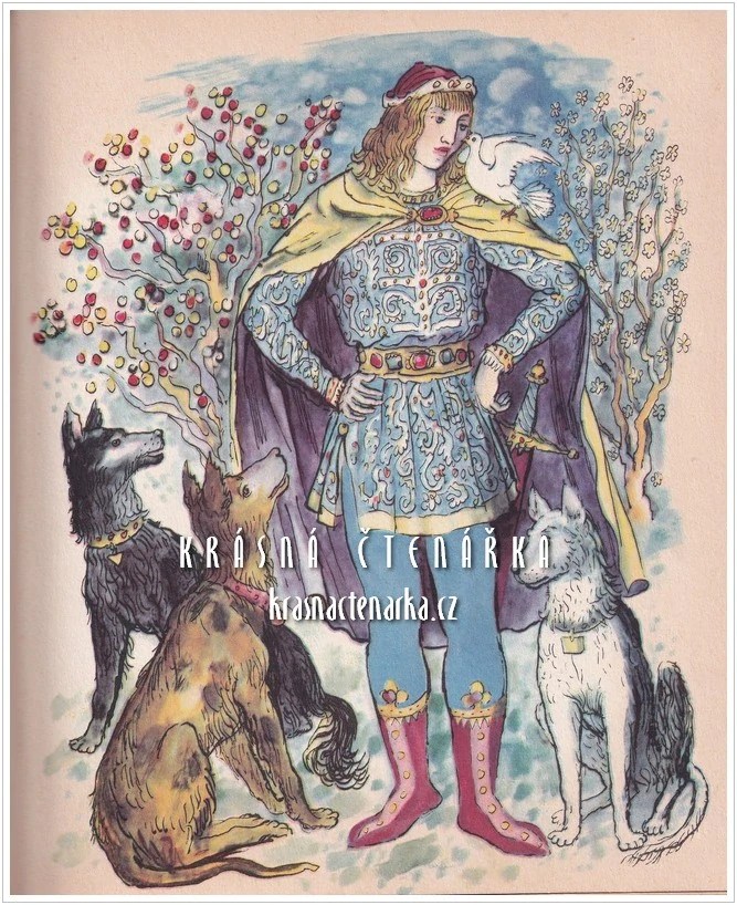 PRINCEZNA SE ZLATOU HVĚZDOU NA ČELE (Němcová Božena, il. Karel Václav)