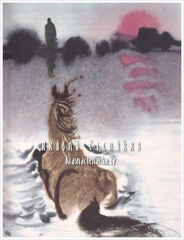 DIVOKÝ KONÍK RYN (Říha Bohumil, il. Hanák Mirko)