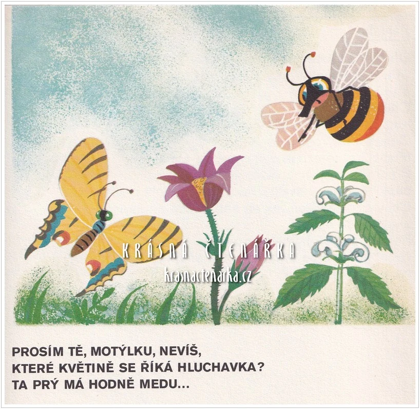 100 KAPEK (Adla Zdeněk)