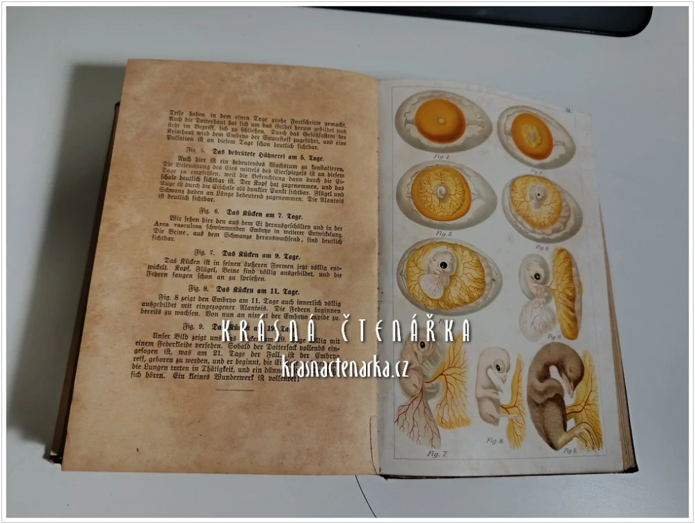 DAS GOLDENE BUCH DES LANDWIRTES über Pflege, Ernährung und Zucht, sowie Entstehung, Verhütung und naturgemässe Heilung der Krankheiten (Rhan Cäsar) (ZLATÁ KNIHA FARMÁŘE o péči, výživě a chovu)